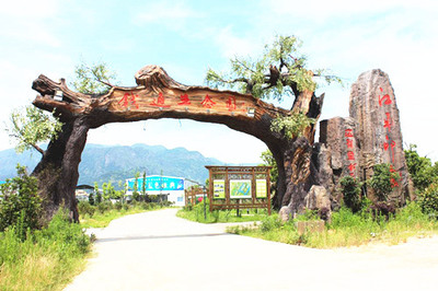 生態(tài)園大門_假樹(shù)大門設(shè)計(jì)原則