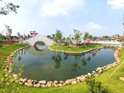 魚塘變公園、村莊成景區,東莞寒溪水村繪就農村美景