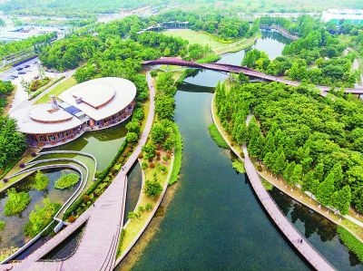 南京河西城市生態公園打造&ldquo;水域仙境&rdquo;