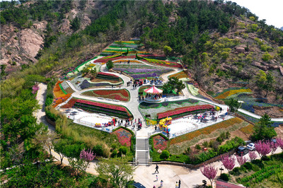 免費(fèi)游花海！第三屆青島花卉博覽會(huì)今日在生態(tài)園盛大啟動(dòng)