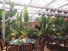 甘肅金石園林景觀工程公司 石嘴山生態園優質產品圖片供應